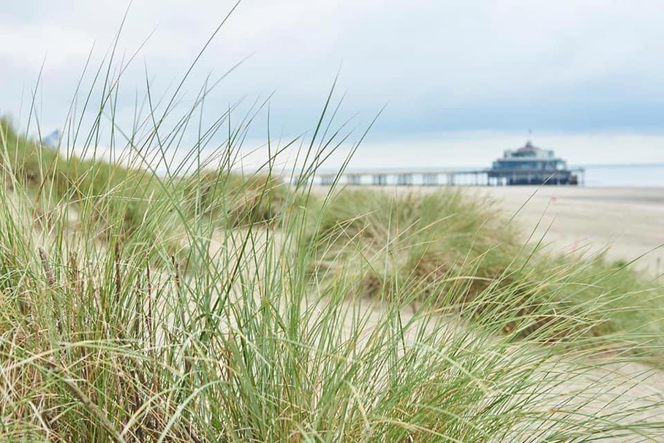 Charmant Zeehuys 100M Van Zee Dichtbij Brugge Blankenberge Buitenkant foto