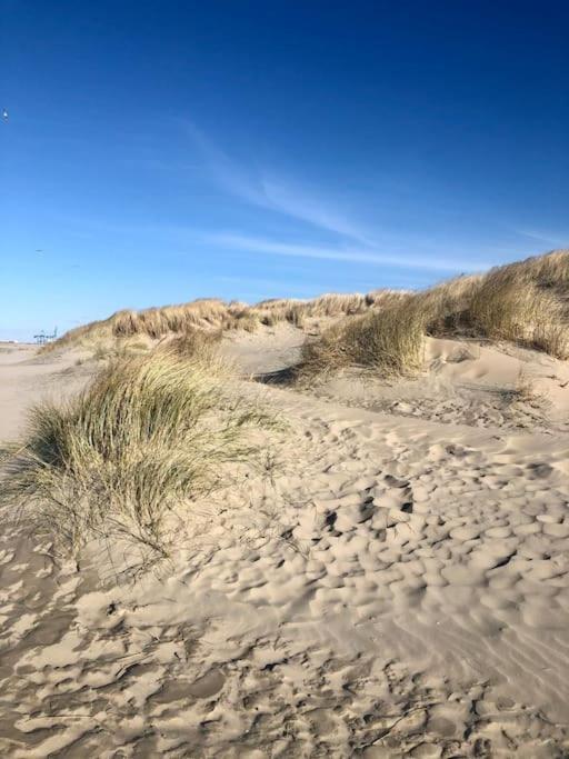 Charmant Zeehuys 100M Van Zee Dichtbij Brugge Blankenberge Buitenkant foto
